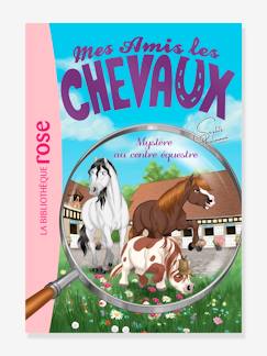 Mes amis les chevaux - t.12 - Mystère au centre équestre - HACHETTE  - vertbaudet enfant