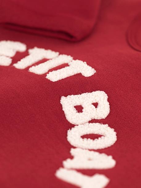 Sweatshirt bébé en coton PETIT BATEAU rouge 3 - vertbaudet enfant 