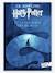 Harry Potter et la Chambre des Secrets T2 - GALLIMARD JEUNESSE bleu 1 - vertbaudet enfant 