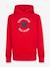 Sweat hoodie gris+marine+rouge 5 - vertbaudet enfant 