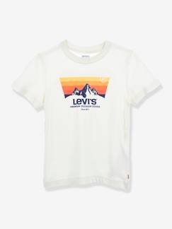 Garçon-T-shirt, polo, sous-pull-T-shirt garçon Mountain Batwing de Levi's®