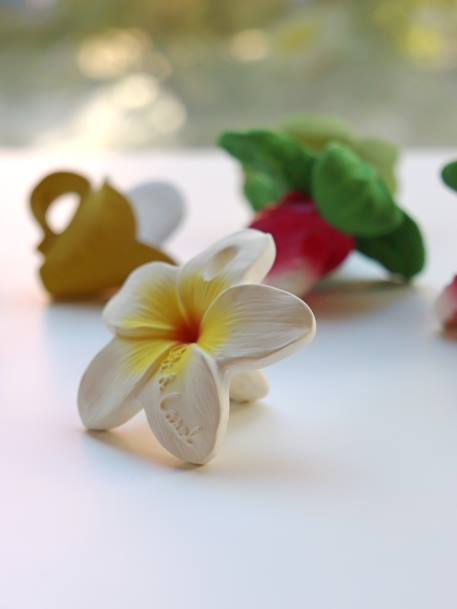 Hawaii la Fleur - OLI & CAROL blanc 3 - vertbaudet enfant 