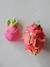 Fushia le Fruit du Dragon - rose 2 - vertbaudet enfant 