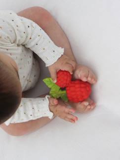 Jouet-Valery la Framboise -