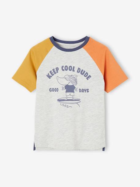Tee-shirt motif ludique requin surfeur garçon gris chiné 1 - vertbaudet enfant 
