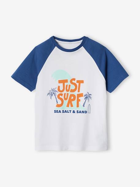 Tee-shirt motif graphique garçon manches raglan bleu+vert sauge 1 - vertbaudet enfant 