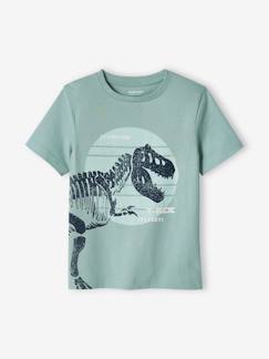 Garçon-T-shirt, polo, sous-pull-T-shirt-T-shirt motif dinosaure géant garçon