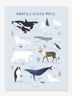 Linge de maison et décoration-Affiche Animaux Pôle Nord/Sud Living Earth LILIPINSO