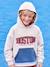 Sweat à capuche sport motif team Boston garçon gris chiné 1 - vertbaudet enfant 