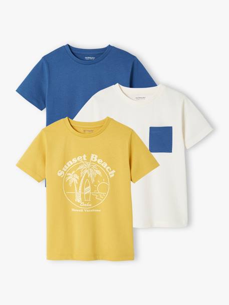 Lot de 3 T-shirts Basics garçon manches courtes lot jaune+lot mastic+lot rouge+lot vert 1 - vertbaudet enfant 