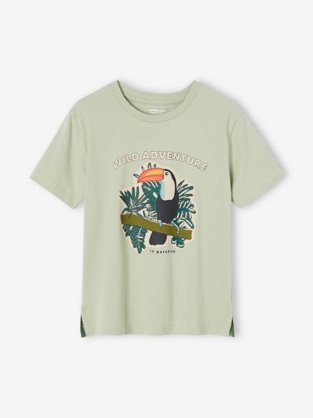 Tee-shirt motif toucan garçon vert sauge 1 - vertbaudet enfant 