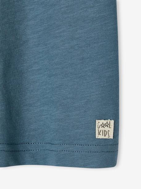 T-shirt garçon personnalisable manches courtes aubergine+blanc+BLEU+jaune pâle+mangue+sauge 15 - vertbaudet enfant 