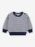 Sweatshirt PETIT BATEAU bleu 1 - vertbaudet enfant 