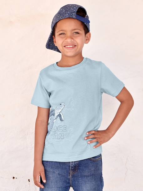 T-shirt animal en coton bio garçon bleu ciel+gris chiné+vert sauge 1 - vertbaudet enfant 