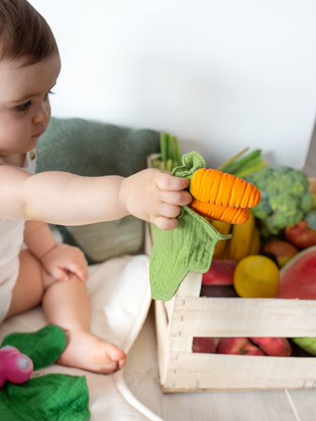 Mini doudou Cathy la Carotte - orange 2 - vertbaudet enfant 