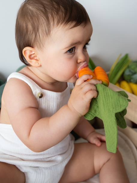 Mini doudou Cathy la Carotte - orange 1 - vertbaudet enfant 