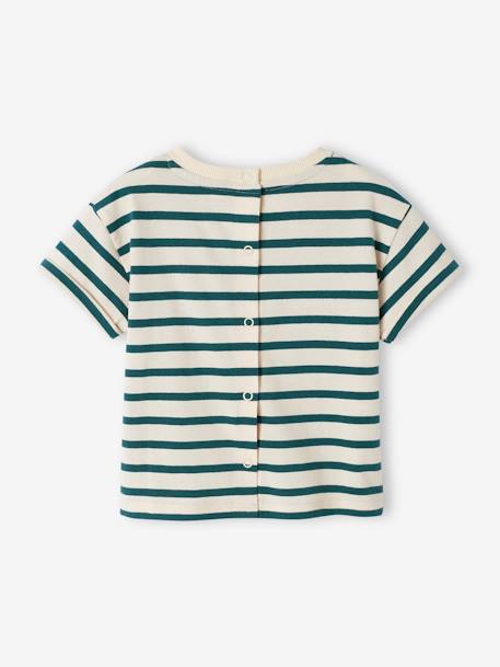 T-shirt bébé capsule famille marin rayé vert 5 - vertbaudet enfant 