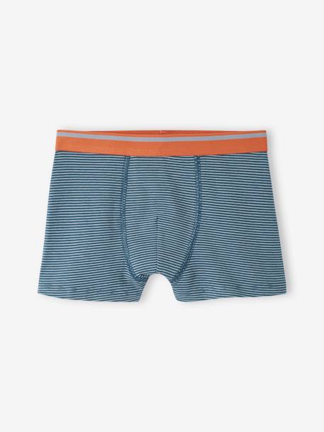 Lot de 5 boxers stretch Yéti garçon bleu grisé 5 - vertbaudet enfant 