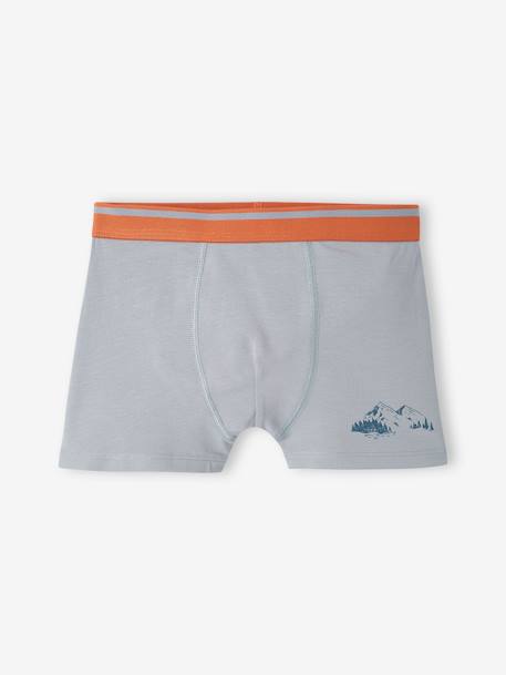 Lot de 5 boxers stretch Yéti garçon bleu grisé 4 - vertbaudet enfant 