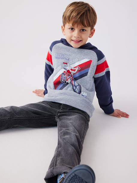 Sweat à capuche motif graphique manches raglan garçon bleu nuit+noix de pécan+vert anglais 5 - vertbaudet enfant 