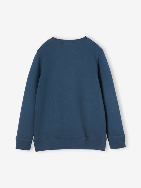 Sweat Basics motifs graphiques garçon bleu nuit+noix de pécan+vert 3 - vertbaudet enfant 