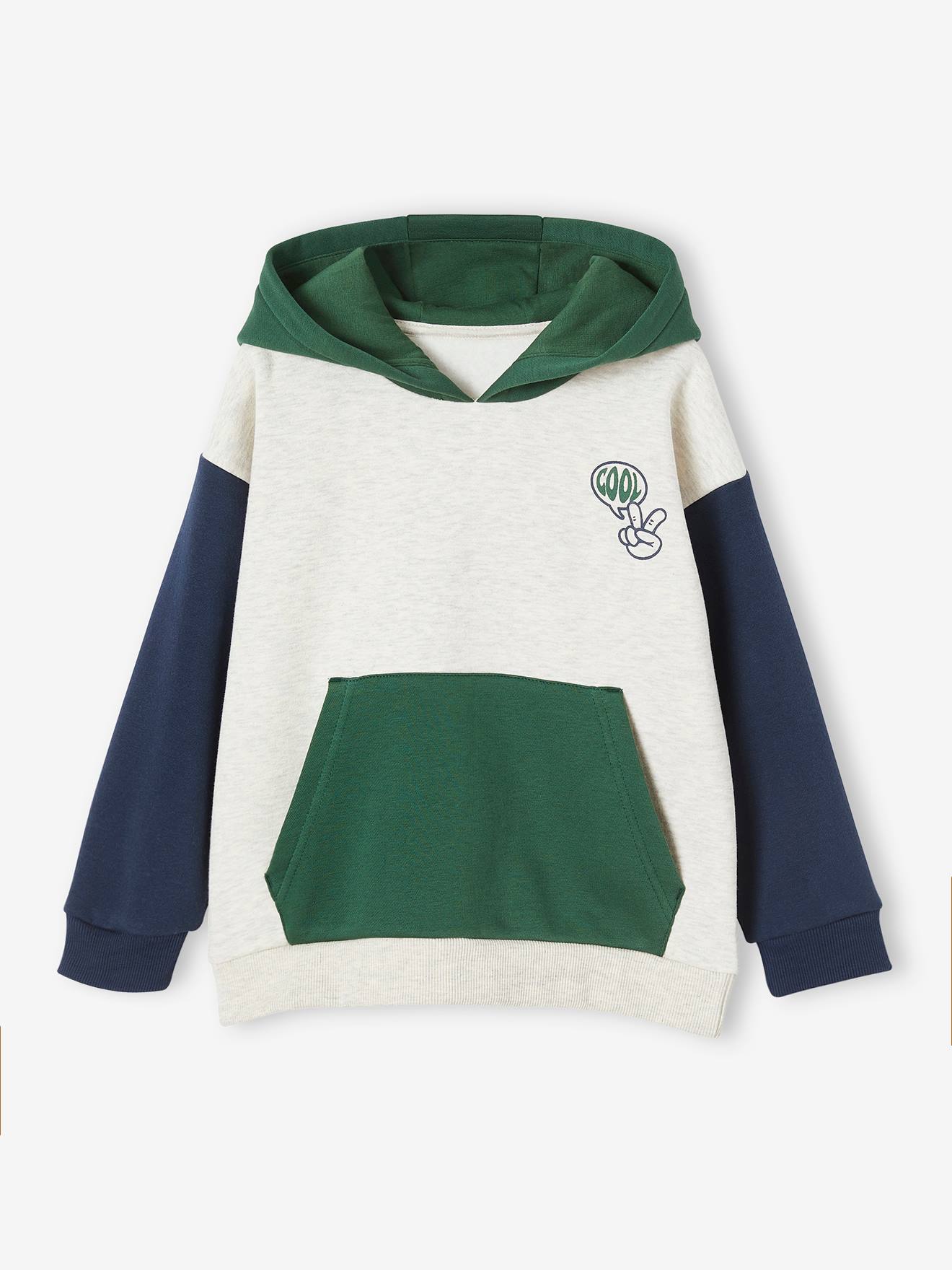 Sweat à capuche color bloc - Bleu - Garçon - 14.00