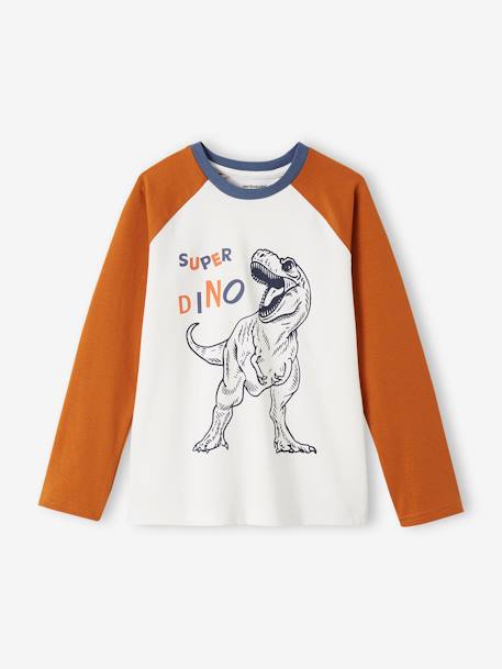 Lot de 2 pyjamas garçon dinosaure indigo 4 - vertbaudet enfant 
