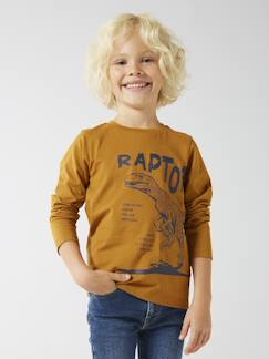 Tee-shirt imprimé Basics garçon manches longues  - vertbaudet enfant