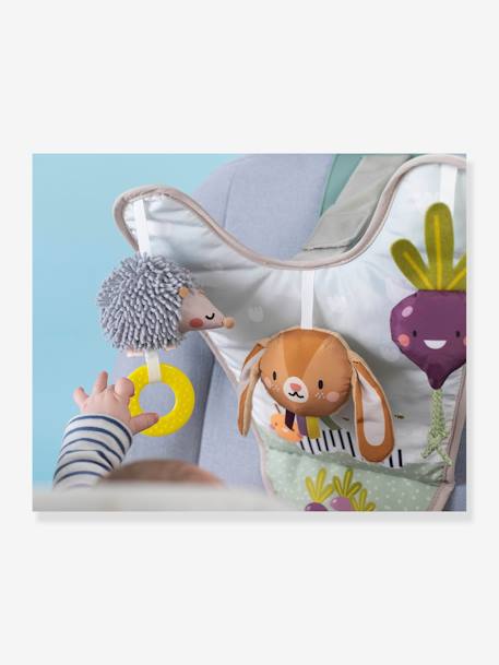 Jouet de Voiture Jardin - multicolore 3 - vertbaudet enfant 