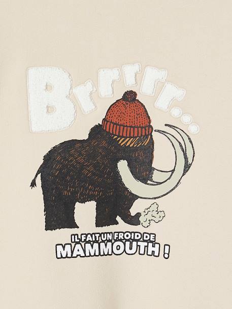Sweat motif mammouth détails en bouclettes garçon beige 4 - vertbaudet enfant 