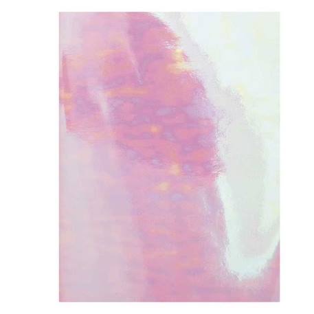 Bullet journal couverture souple Acid Leo - 16 x 21 cm ROSE 1 - vertbaudet enfant 