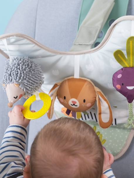 Jouet de Voiture Jardin - multicolore 4 - vertbaudet enfant 