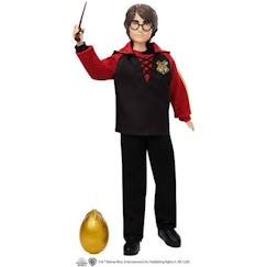 -Mattel - Coupe de Feu Poupée Harry Potter 26,5 cm