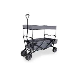 Jouet-Chariot pliant Paxi Pinolino - Gris - Pour enfants à partir de 18 mois - Pare-soleil compris