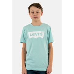 -Tee shirt manches courtes levis batwing e2d green