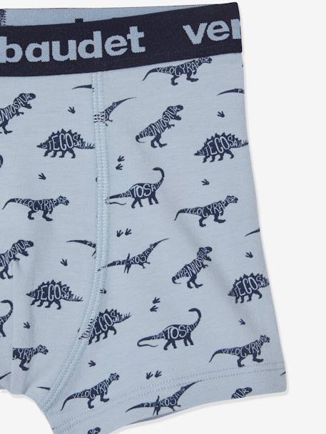 Lot de 5 boxers stretch garçon dinosaures Lot AOP dino 8 - vertbaudet enfant 