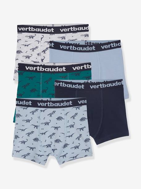 Lot De 7 Boxers Garçon - Imprimé Dinosaures | 95% Coton, Élastique Confortable