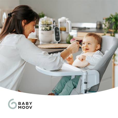 Robot multifonction BABYMOOV Nutribaby+ Préparateur culinaire cuiseur et mixeur beige+Industrial grey+Opal green 2 - vertbaudet enfant 