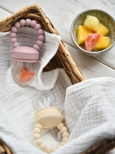 Notre bébé sucette grignoteuse fruits et légumes pour bébé a