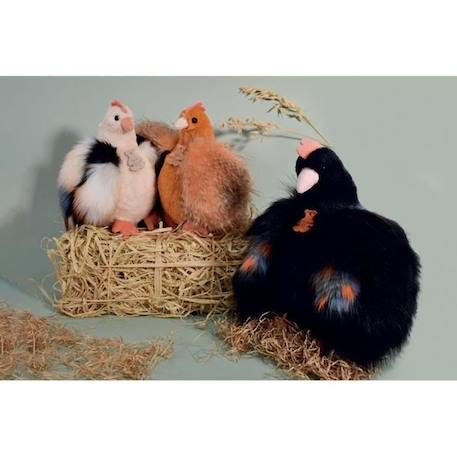 Jouet en peluche - HISTOIRE D'OURS - Les poulettes petit modele orange - Mixte - A partir de 0 mois ORANGE 2 - vertbaudet enfant 