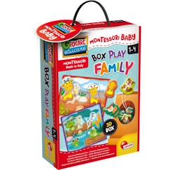 Jouet-Jeux éducatifs-Lire, écrire, compter et heure-Box play family - jeux d'apprentissage - basé sur la méthode Montessori - LISCIANI