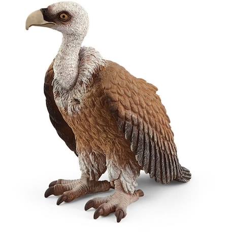 Figurine Vautour SCHLEICH Wild Life - plumage roux-brun et ailes noir-gris - pour enfants à partir de 3 ans BEIGE 1 - vertbaudet enfant 