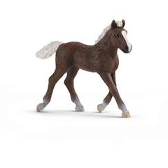 Figurine Poulain Forêt Noire - SCHLEICH - Farm World - 3 ans et plus - Beige  - vertbaudet enfant