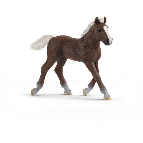 Figurine Poulain Forêt Noire - SCHLEICH - Farm World - 3 ans et plus - Beige BEIGE 1 - vertbaudet enfant 