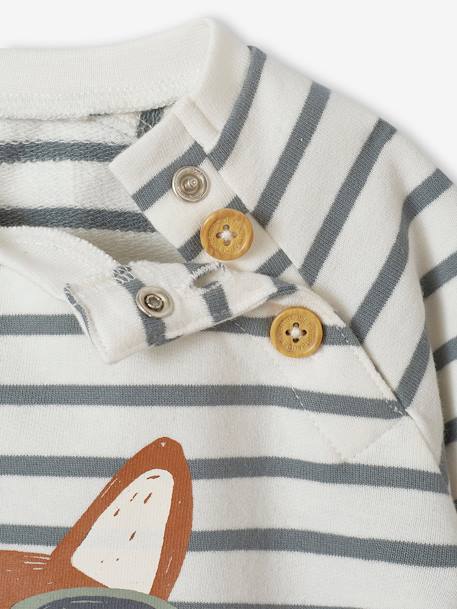 Sweat bébé en molleton rayé bleu+rayé vert+tomette 8 - vertbaudet enfant 