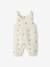 Combinaison bébé naissance en gaze de coton beige+blanc+écru+tilleul 11 - vertbaudet enfant 