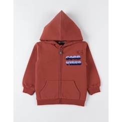 -Veste sweat à capuche