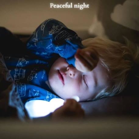 Veilleuse enfant rechargeable Induction «Charly» de Olala® - Veilleuse de nuit motif lapin lumière led lampe de nuit [Veilleuse USB] BLEU 4 - vertbaudet enfant 