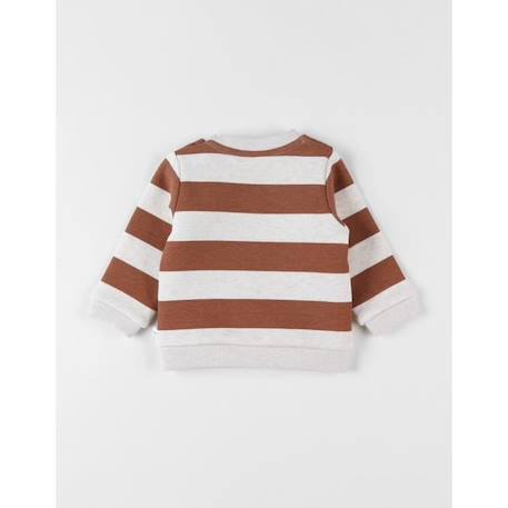 Pull en Sweatoloudoux® rayé patch lion MARRON 2 - vertbaudet enfant 