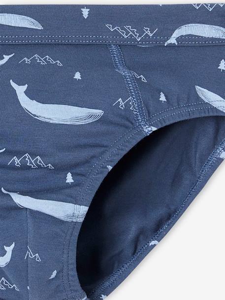 Lot de 7 slips stretch baleines garçon en coton bio bleu ciel 10 - vertbaudet enfant 
